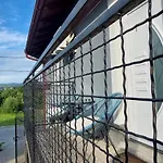 Window *