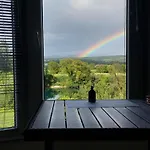 Window *