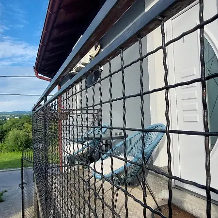 Window *