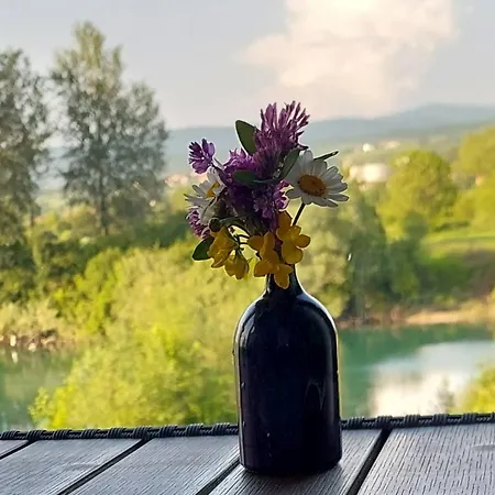 Apartment Window