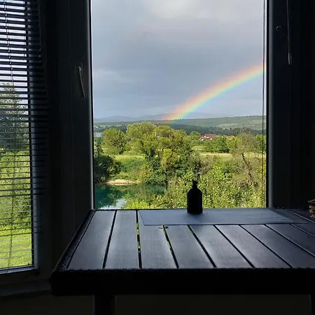 Window *