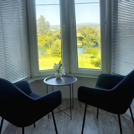 Window *