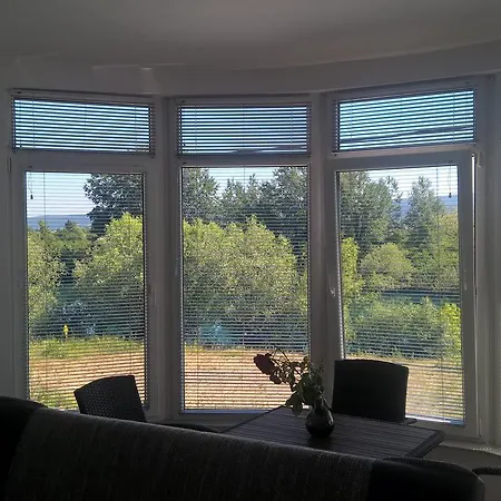 Window